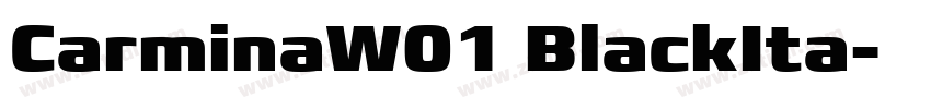 CarminaW01 BlackIta字体转换
